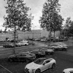 DSC01967